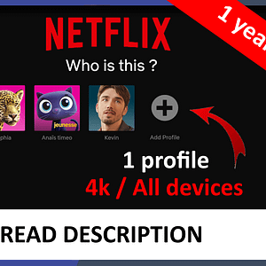 Netflix Premium Account Single Profile Access for 1 Year